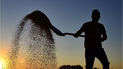 2025 Tarım Desteği İçin Yeni Sistem Başladı