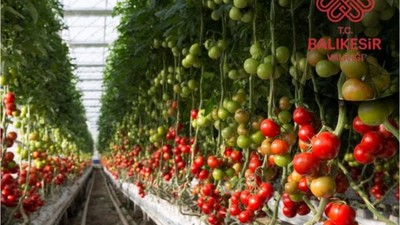 Dünyanın En Büyük Jeotermal Projesinde Bütçe Açıklandı