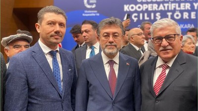 Yeni Kooperatif Stratejisi Masada