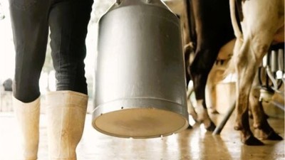 Balıkesir’de Süt Üreticilerine Yeni Fiyat