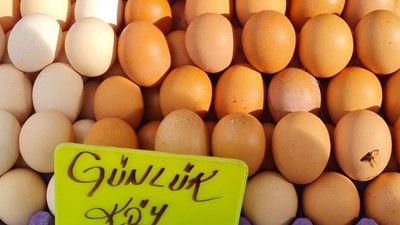 Yumurta Fiyatları Yükselişte