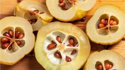 Balıkesir'de Kışın Cilt Bakımında Ayva Çekirdeği Kullanılıyor