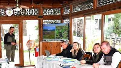 Ormanların Gizli Defteri Açıldı! Son 5 Yılın Raporu Şaşırttı