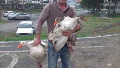 Komşular Bıktı Sahibi Çözümü Böyle Buldu
