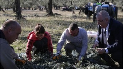 Başkan Ertaş'tan Zeytin İşçilerine Yeni Yıl Morali