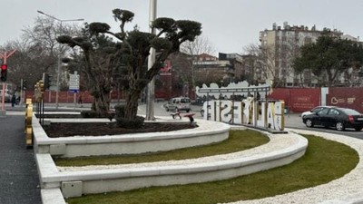 Balıkesir’e 590,2 Milyon TL’lik Ağaç Alınmış