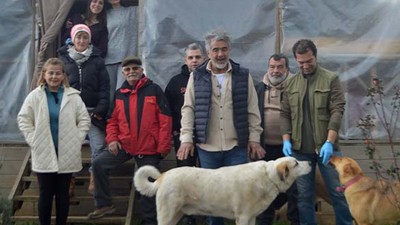Balıkesir'de Sokak Hayvanları İçin Gönüllüler El Ele
