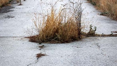 Balıkesir’e Asfalt da Dökseler Ot Biter