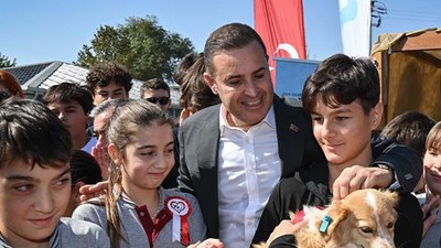 Büyükşehirden Sokak Köpeklerine Ücretsiz Bakım