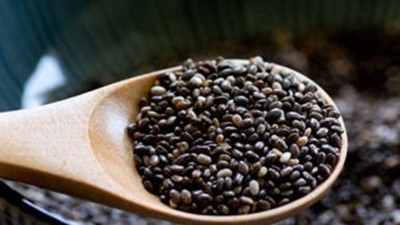 Chia Tohumu: Doğanın Küçük Mucizesi