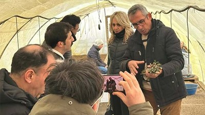 Edremit'te Zeytinde Fidan Üretim Teknikleri Tanıtıldı