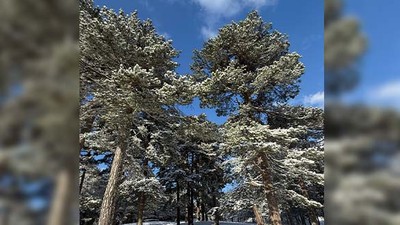 Kaz Dağları'nda Kartpostallık Görüntüler