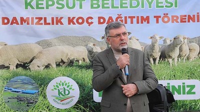 Kepsut Belediyesinin Damızlık Koç Hibe Desteği Devam Ediyor