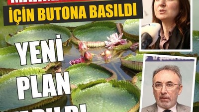 Marmara Denizi İçin Yeni Plan Yüzer Bitki Adaları