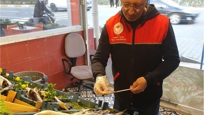 Balıkesir’de Balıklar Metreyle Ölçüldü