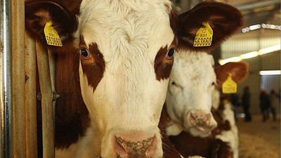 "Kırsalda Bereket Projesi" İçin Başvuru Şartları Açıklandı