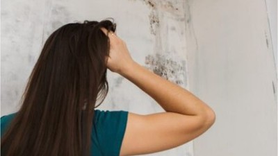 Kışın Evlerde Nem Kontrolü Nasıl Yapılır?