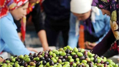 Balıkesir'in Geçim Kaynağı Nedir?