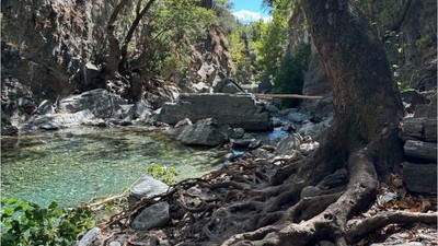 Balıkesir'in Bu Kanyonu Şifalı Bitkilerle Dolu