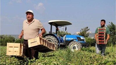 Balıkesir'de Ne Üretiliyor?
