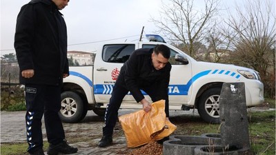 Balya Belediyesi Sokak Hayvanlarına Umut Oldu