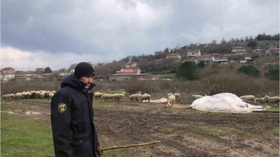 Mezbaha Kesim Ücretleri Üreticilerin Yüzünü Güldürdü