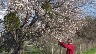 Balıkesir'de Doğa Uyandı