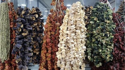 Balıkesir'in Dolmalık Kuruları İle Ne Yapılır?