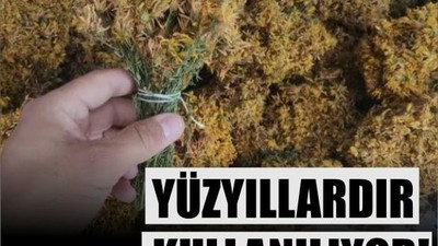 Kurutulmuş Kantaron Ne İşe Yarar?