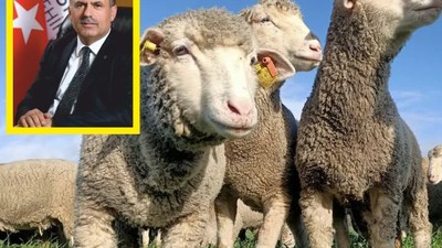 Başkan Cankuldan 2025’e Özel Yeni Müjde