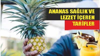 Ananas Lezzetli Tariflerin Parlayan Yıldızı