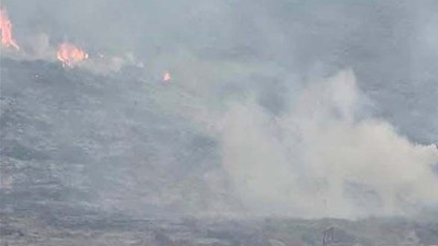 Avşa Adası'nda Çıkan Orman Yangını Kısa Sürede Söndürüldü
