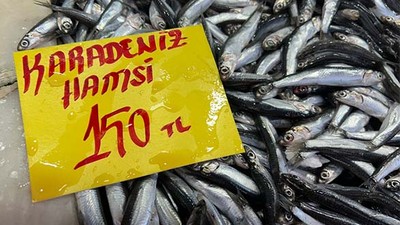 Balıkesir’de Balık Fiyatlarında Düşüş Yaşandı