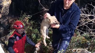 Çukura Düşen Köpek Yavrusunu İtfaiye Kurtardı