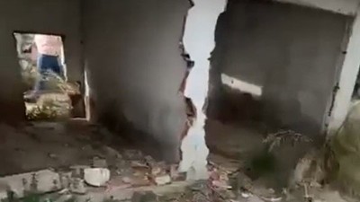 Erdek'te Hayvan Barınağı Krizi