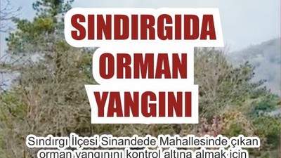 Balıkesir'de Orman Yangını Çıktı