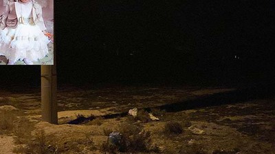 Sokak Köpekleri Saldırısında 2 Yaşındaki Çocuk Hayatını Kaybetti