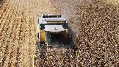 Tarım Ürünleri Üretici Fiyat Endeksi (Tarım-ÜFE) Yıllık Yüzde 29.89 Arttı