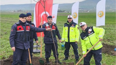 Yol Kenarı Ağaçlandırma Çalışmaları Devam Ediyor