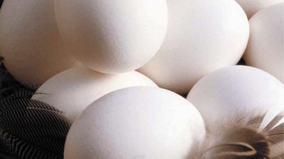 Yumurta İhracatına 1,5 Dolar Fon Engeli, Sektör Tepkili