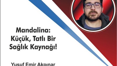Mandalina: Küçük, Tatlı Bir Sağlık Kaynağı!
