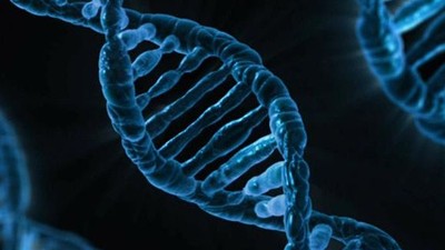 Gizli Genetik Deneyler ve İnsan DNA’sı