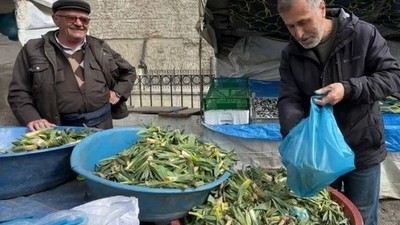 Doğal Antibiyotik Çiriş Otu Tezgahlarda Yerini Aldı