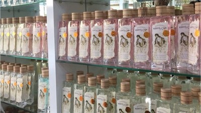Sındırgı'nın Meşhur Kertil Çam Kolonyaları