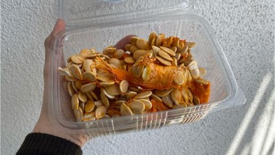 Kabaktan Çıkan Çekirdek Hazine Değerinde!
