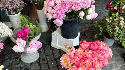 Balıkesir'de Mart Ayı Çiçekleri