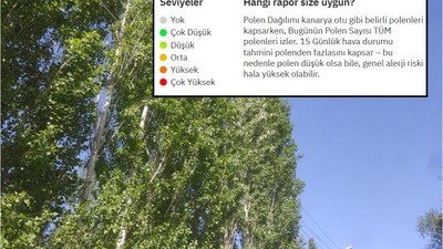 Alerjisi Olanlar Dikkat! Balıkesir’de Ağaç Poleni Zirvede