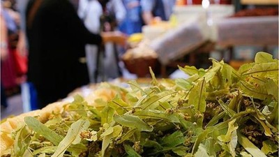 Kazayağı Otu: Doğanın Şifalı Bitkisi