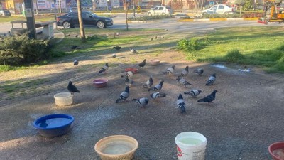 Balıkesir’de Hayvanlara Özel 2 günde bitiyor