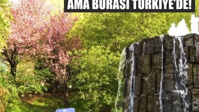 Sakuralar Çiçek Açtı, Vadisi Ziyaretçi Akınına Uğradı
